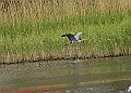 20250522PENSMAY00209A