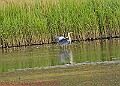 20250522PENSMAY00218A