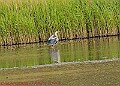 20250522PENSMAY00219A