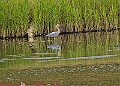 20250522PENSMAY00221A