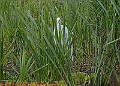 20250522PENSMAY00236A