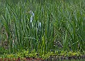 20250522PENSMAY00243A