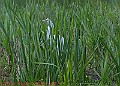 20250522PENSMAY00244A