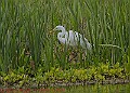 20250522PENSMAY00263A