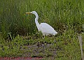20250522PENSMAY00299A