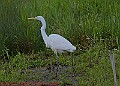 20250522PENSMAY00300A