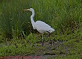 20250522PENSMAY00303A