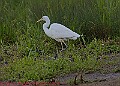 20250522PENSMAY00304A