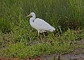 20250522PENSMAY00305A