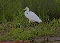 20250522PENSMAY00306A