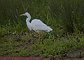 20250522PENSMAY00309A