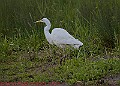 20250522PENSMAY00310A