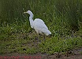 20250522PENSMAY00311A