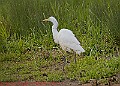 20250522PENSMAY00312A