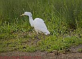 20250522PENSMAY00313A