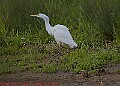 20250522PENSMAY00314A