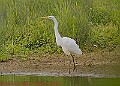 20250522PENSMAY00318A