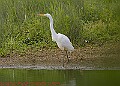 20250522PENSMAY00320A