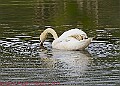 20250522PENSMAY00323A