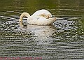 20250522PENSMAY00326A