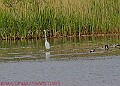 20250522PENSMAY00327A
