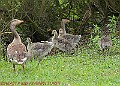20250522PENSMAY00334A