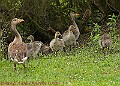 20250522PENSMAY00335A