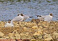 20250522PENSMAY00344A