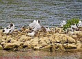 20250522PENSMAY00364A