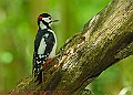 20250522PENSMAY00378A
