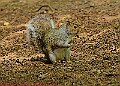20250522PENSMAY00401A
