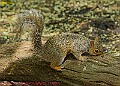 20250522PENSMAY00406A