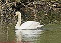 20250522PENSMAY00409A