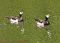 20250522PENSMAY00416A
