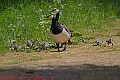 20250522PENSMAY00419A