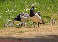 20250522PENSMAY00422A