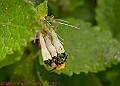 20250522PENSMAY00429A