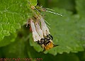 20250522PENSMAY00430A