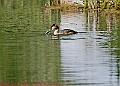20250522PENSMAY00446A