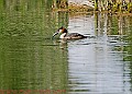 20250522PENSMAY00447A