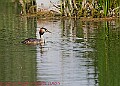 20250522PENSMAY00448A