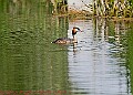 20250522PENSMAY00449A