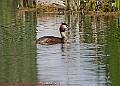 20250522PENSMAY00457A