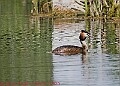 20250522PENSMAY00458A