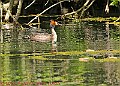 20250522PENSMAY00467A