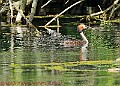 20250522PENSMAY00471A