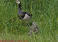 20250522PENSMAY00485A