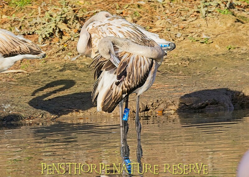 20251113PENSNOV00064A.JPG