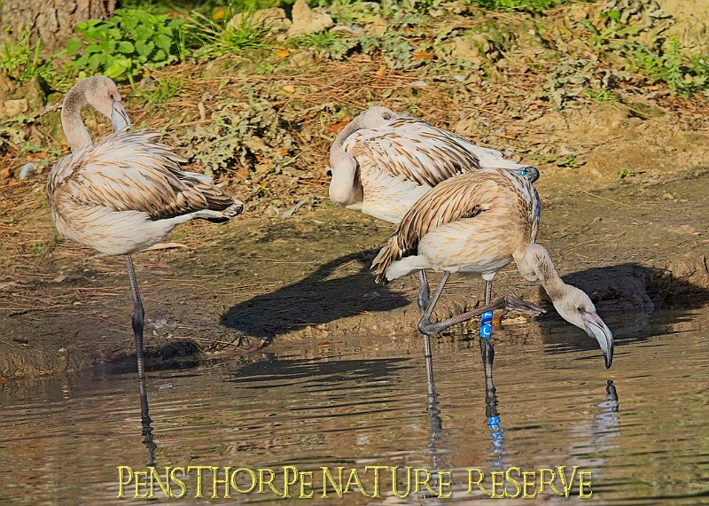 20251113PENSNOV00080A.JPG