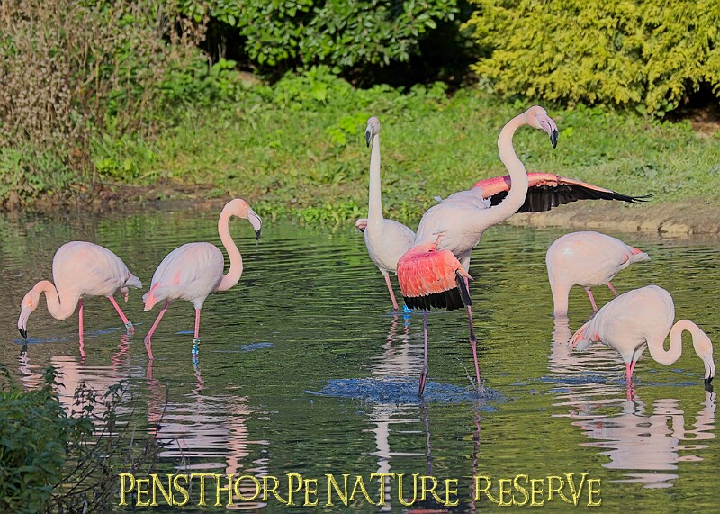 20251113PENSNOV00114A.JPG